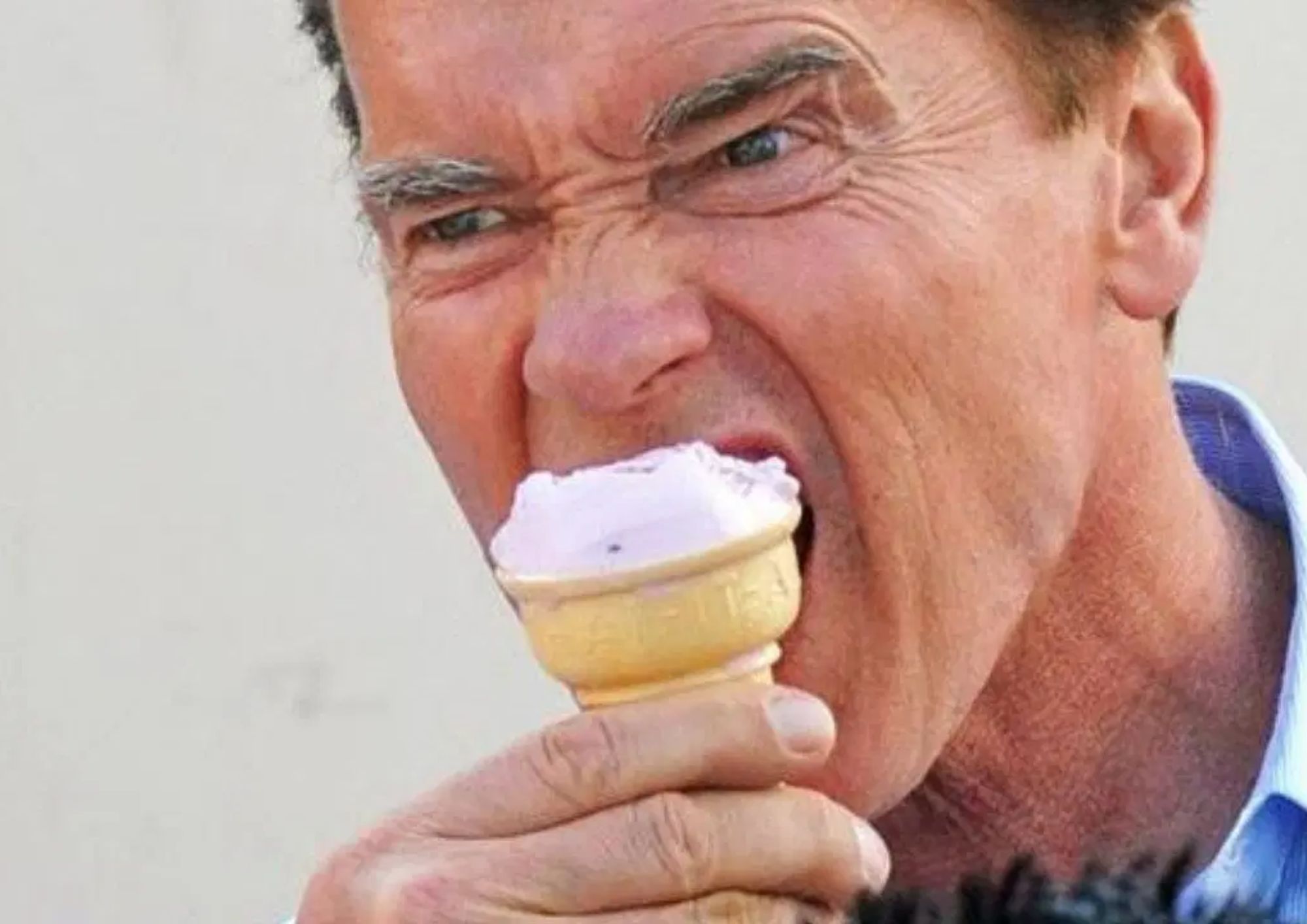 arnold schwarzenegger